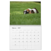 Calendrier Cochon d'Inde 2027 (Feb 2027)