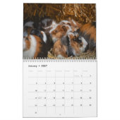 Calendrier Cochon d'Inde 2027 (Jan 2027)