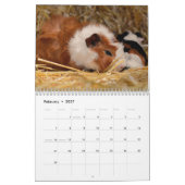 Calendrier Cochon d'Inde 2027 (Feb 2027)