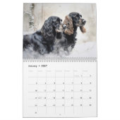 Calendrier Cocker Spaniels Calendrier, chaque année (Jan 2027)