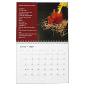 Calendrier Cocktails rouges Fascination (Jan 2026)