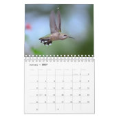Calendrier Colibri (Jan 2027)