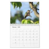 Calendrier Colibri (Feb 2027)