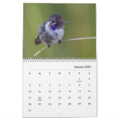 Calendrier Colibri (Jan 2027)