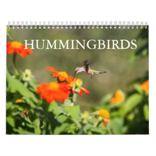 Calendrier Colibri