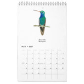 Calendrier Colibri (Mar 2027)