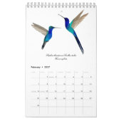 Calendrier Colibri (Feb 2027)