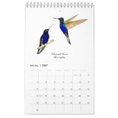 Calendrier Colibri (Jan 2027)
