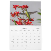 Calendrier Colibri (Mar 2027)