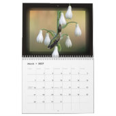 Calendrier Colibri (Mar 2027)