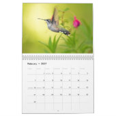Calendrier Colibri (Feb 2027)