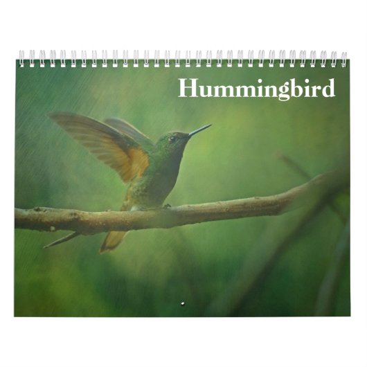 Calendrier Colibri 2025 (Protection)