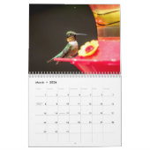 Calendrier Colibri 2026 (Mar 2026)