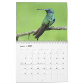 Calendrier Colibri 2027 (Mar 2027)