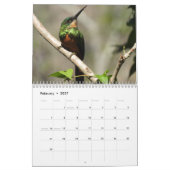 Calendrier Colibri 2027 (Feb 2027)
