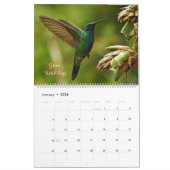 Calendrier Colibri de Colombie (Jan 2026)