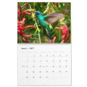 Calendrier Colibri de Colombie (Mar 2027)