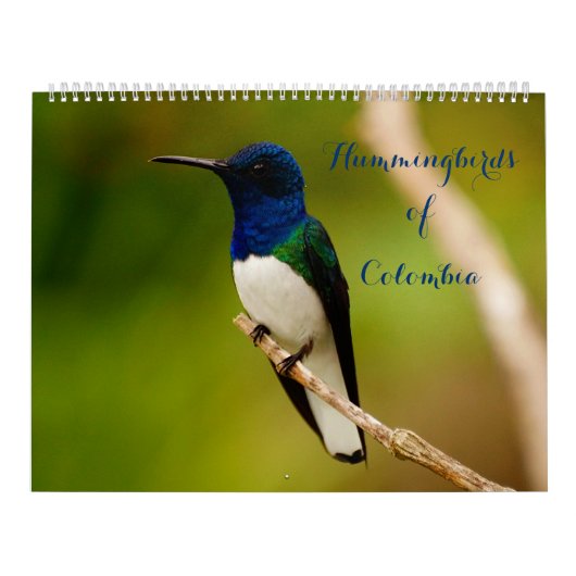 Calendrier Colibri de Colombie (Protection)