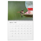 Calendrier Colibri du Michigan (Feb 2027)