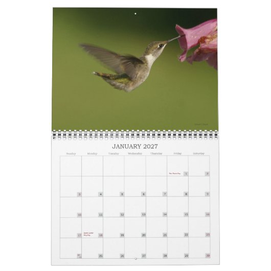 Calendrier Colibris - 2010 (Jan 2027)