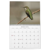 Calendrier Colibris - 2010 (Mar 2026)