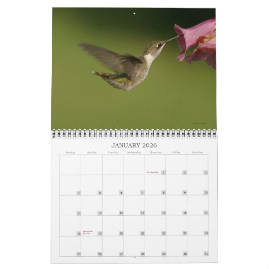 Calendrier Colibris - 2010 (Jan 2026)