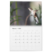 Calendrier Colibris 2025 (Feb 2026)