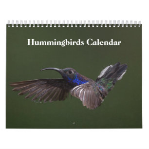 Calendrier Colibris 2027