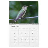 Calendrier Colibris 2027 (Jan 2027)