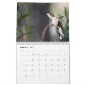 Calendrier Colibris 2027 (Feb 2027)