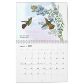 Calendrier Colibris de John Gould (Mar 2027)