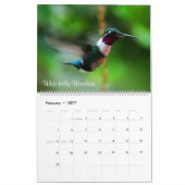 Calendrier Colibris de la Colombie (Feb 2027)