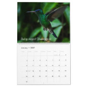 Calendrier Colibris de la Colombie (Jan 2027)