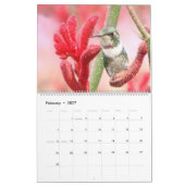 Calendrier Colibris de la Colombie (Feb 2027)