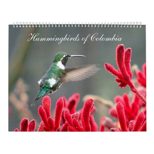 Calendrier Colibris de la Colombie (Protection)