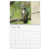 Calendrier Colibris de la Colombie (Jan 2026)
