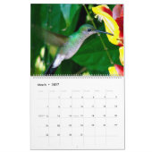 Calendrier Colibris de la Colombie (Mar 2027)