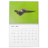 Calendrier Colibris de photographie de Lara Ellis (Mar 2026)