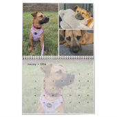 Calendrier Collage Photo Personnalisé De Animaux De Compagnie (Jan 2026)