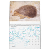 Calendrier COLLECTION D'ART FINE / Dessins Animaux 2013 (Jan 2027)