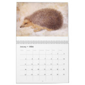 Calendrier COLLECTION D'ART FINE / Dessins Animaux 2017 (Jan 2026)