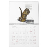 Calendrier Collection de faune en voie de disparition (Jan 2027)