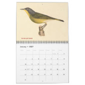 Calendrier Collection de parulines #2 Lithographies d'oiseaux (Jan 2027)
