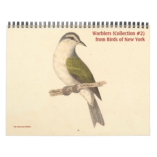 Calendrier Collection de parulines #2 Lithographies d'oiseaux (Protection)