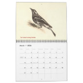Calendrier Collection de parulines #2 Lithographies d'oiseaux (Mar 2026)
