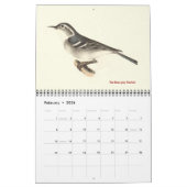 Calendrier Collection de parulines #2 Lithographies d'oiseaux (Feb 2026)