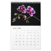 Calendrier Collection de photos florales de Simple Blooms (Jan 2026)