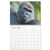 Calendrier Collection Éternelle Gorille 2027 (Jan 2027)