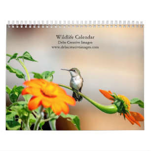 Calendrier Collection Faune 2027 Nature Nord-Américaine