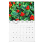 Calendrier Collection Fleurs exotiques Showcase Wall Calendri (Jan 2027)